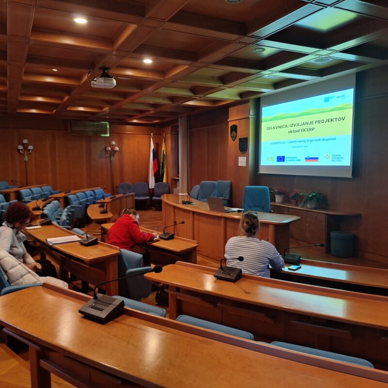 Gradivo delavnic: Izvajanje projektov ESRR in EKSRP